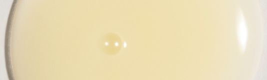 Dermatica - Encapsulated kojic acid illustration