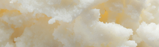 Dermatica - Shea Butter illustration